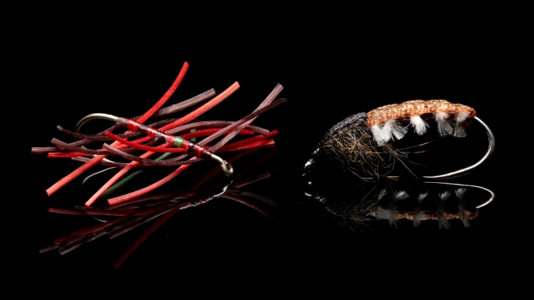 Attractor and imitation Attractor and imitation