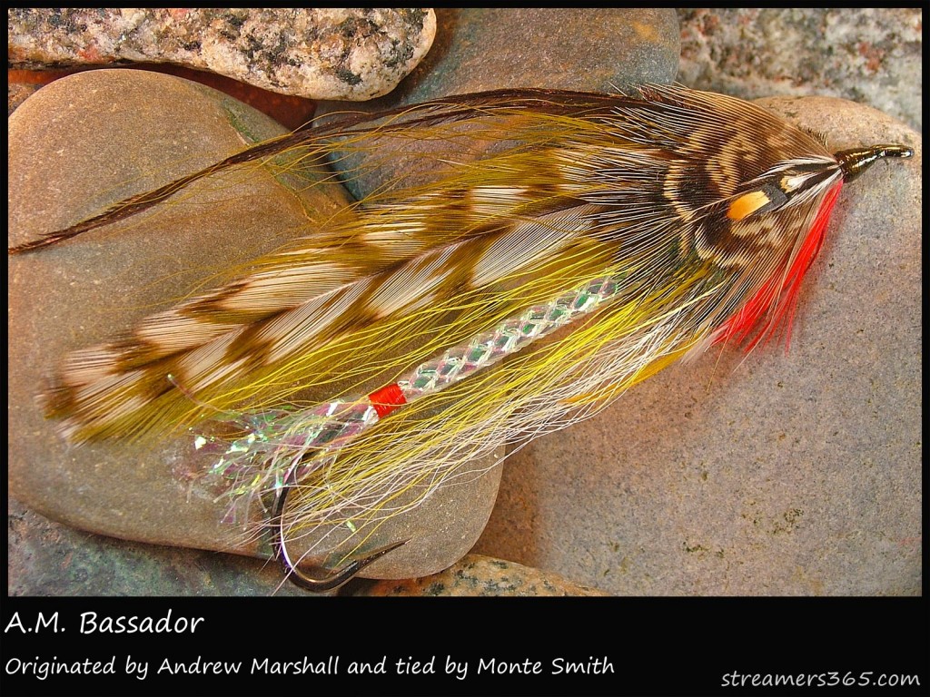 #6 A. M. Bassador - Monte Smith #6 A. M. Bassador - Monte Smith