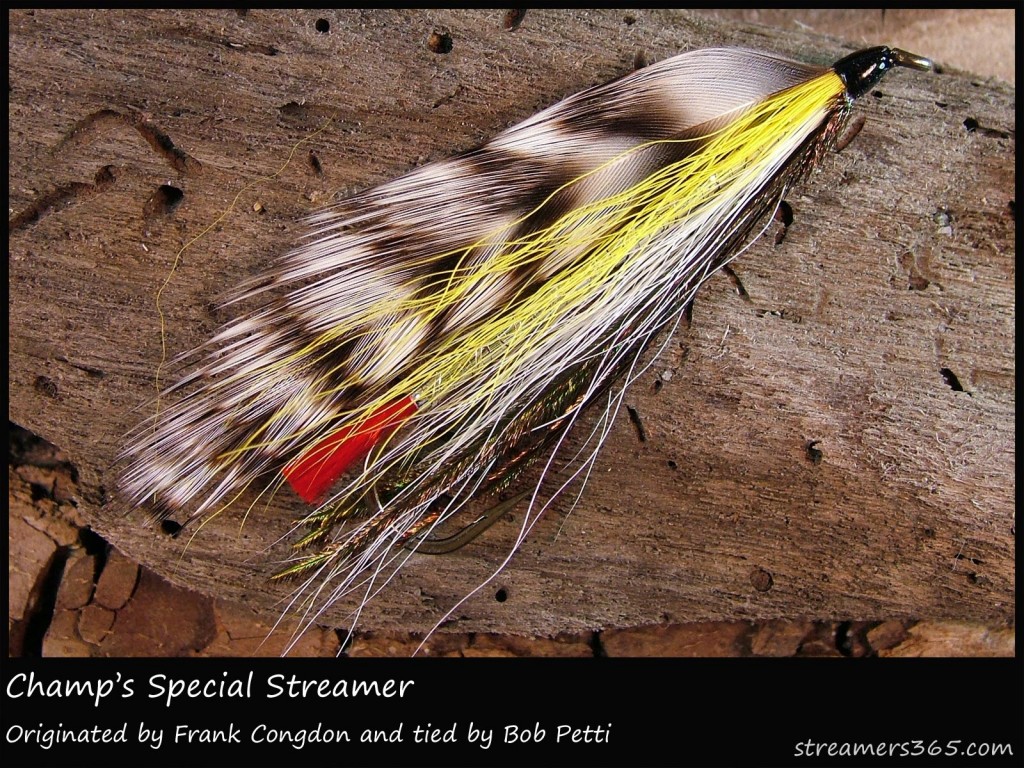 #142 Champ's Special Streamer - Bob Petti