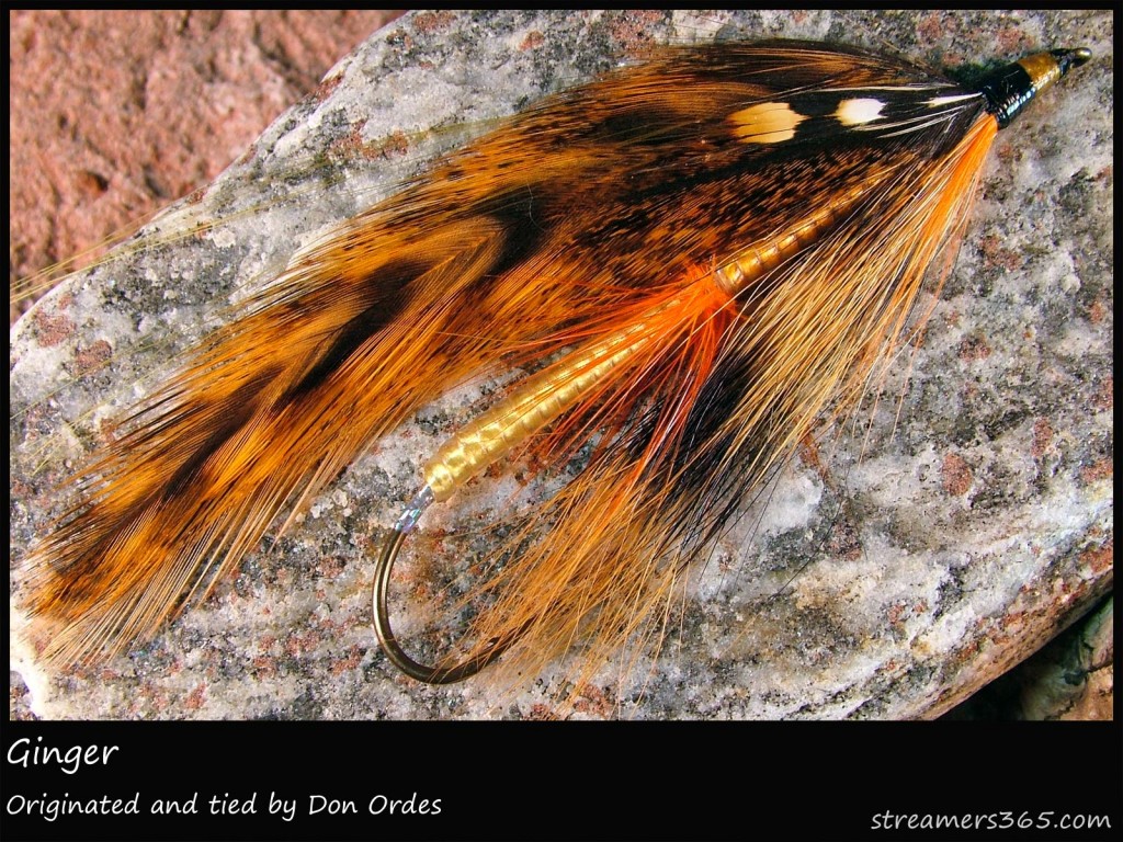 #148 Ginger - Don Ordes #148 Ginger - Don Ordes