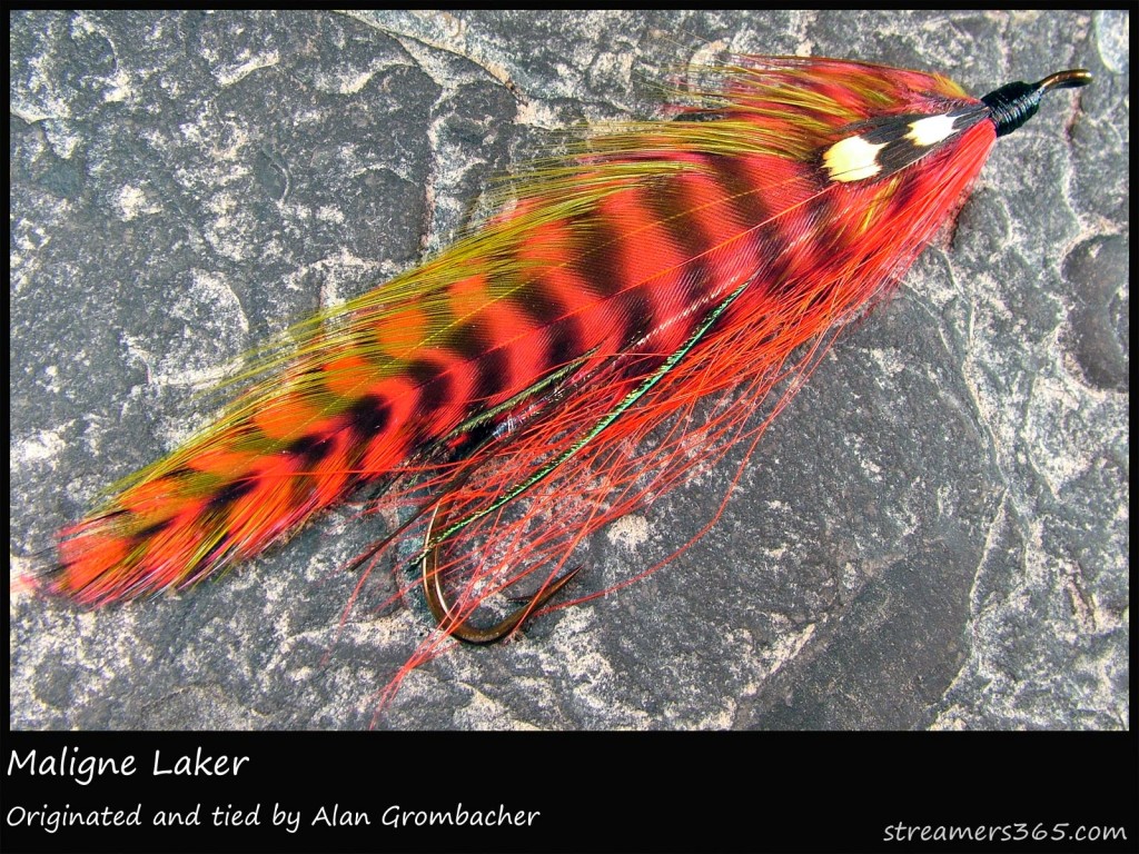 #276 Maligne Laker - Alan Grombacher #276 Maligne Laker - Alan Grombacher