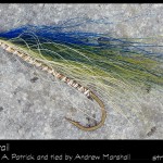 #56-2013 Herring Bucktail tied by Andrew Marshall