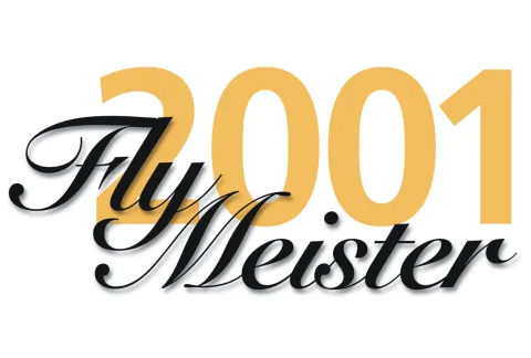 FlyMeister 2001