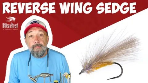 Video thumb for Reverse Wing Sedge