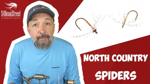 Video thumb for North Country Spiders