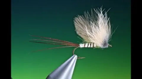 Video thumb for Fur Hackle Mayfly