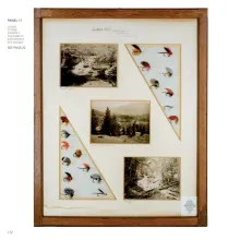 Plate 11 from the Columbian Exposition