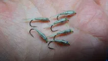 Video thumb for Adams Turkey Biot Nymph