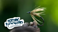 Video thumb for Olive Spider Wetfly