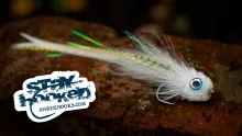 Video thumb for Chartreuse Striper Dragon