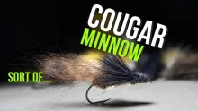 Video thumb for Sort of Cougar Minnow