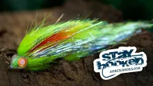 Video thumb for Chartreuse and Silver Flashtail Beast