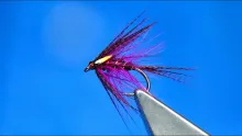 Video thumb for Cloaked Magenta Dabbler