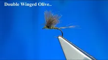 Video thumb for Double Winged Olive Dun