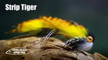 Video thumb for Strip Tiger