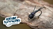 Video thumb for Black Stonefly Nymph