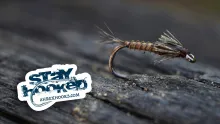 Video thumb for Simple Quill Nymph