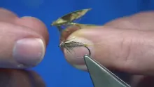 Video thumb for Transforming a Wet Fly into a Nymph