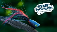 Video thumb for Black & Red Pike Popper