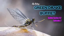 Video thumb for Green Drake Buffet, Episode 2 Season 2