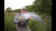 Video thumb for How to catch big searun trout on dryflies