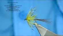 Video thumb for Olive French Partridge Mayfly