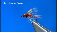 Video thumb for Beaded Partridge & Orange