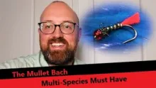 Video thumb for Mullet Bach