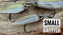 Video thumb for Small Baitfish