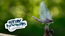 Video thumb for Tofting's CDC Mayfly