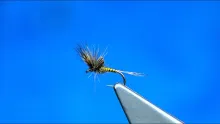 Video thumb for Small Emerger Dun