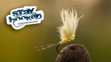 Video thumb for Yellow Mayfly