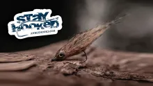 Video thumb for CF Stickleback