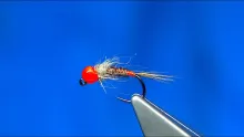 Video thumb for Hot Head Polish Pheasant Tail Nymph