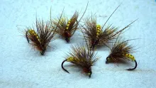 Video thumb for McPhail Caddis Emerger/Dry