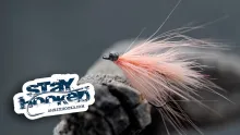 Video thumb for Magic Fly