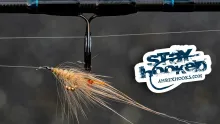 Video thumb for Cuban Spey Shrimp