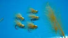 Video thumb for CDC Cinnamon Caddis