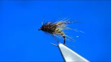 Video thumb for One of my Top Caddis Patterns