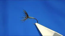 Video thumb for Waterhen Bloa Tenkara Style