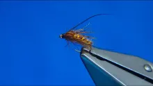 Video thumb for Brown and Tan Caddis Pupa