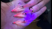 Video thumb for Mayfly Shrimp