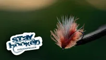 Video thumb for October Caddis