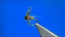 Video thumb for Grannom/Caddis Soft Hackle