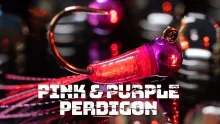 Video thumb for Pink & Purple Perdigon