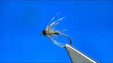 Video thumb for Green Caddis Soft Hackle