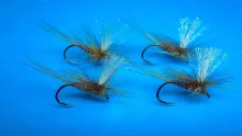 Video thumb for Pheasant Tail  Dry Fly