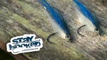 Video thumb for Blue Back Baitfish