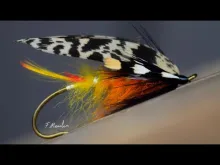 Video thumb for Salmon Shrimp