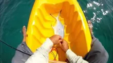 Video thumb for Fly fishing Arabian Pompano 